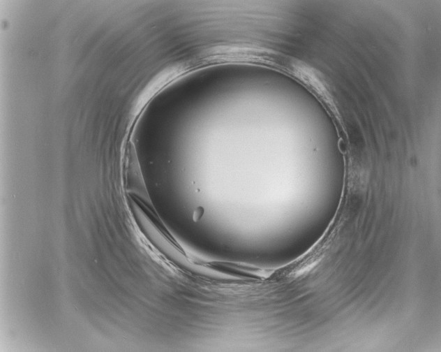 X0000060741386200511141122