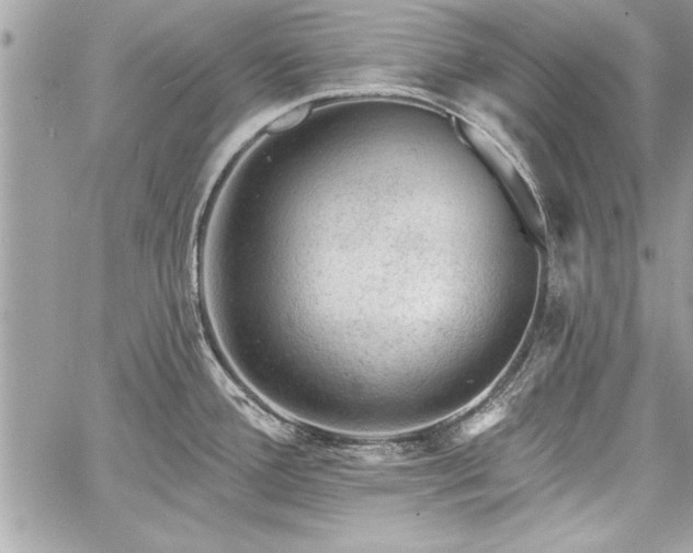 X0000060741388200511141121