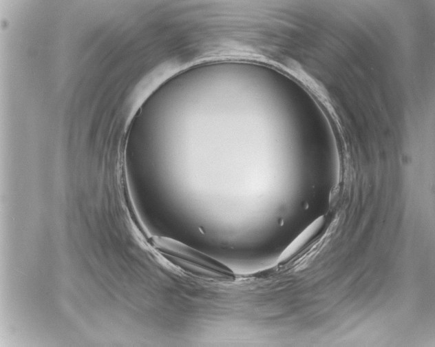 X0000060741390200511141121