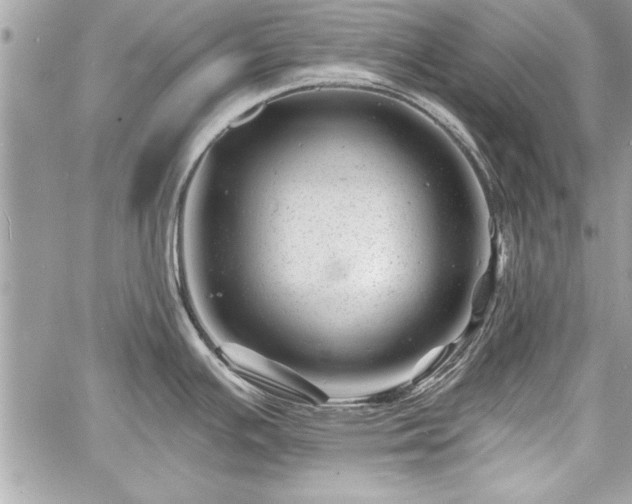 X0000060741391200511141121