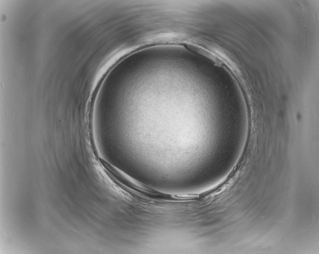 X0000060741392200511141121