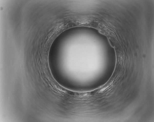 X0000060741393200511141121