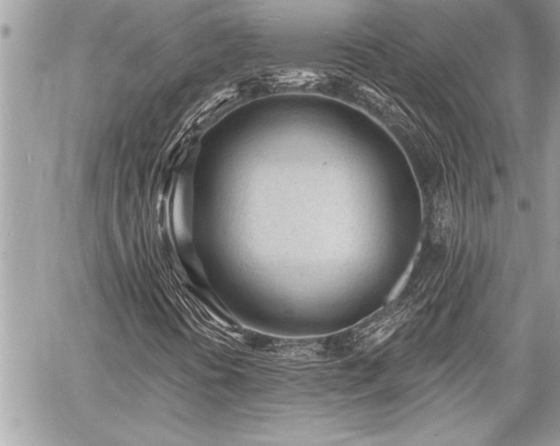 X0000060741394200511141121