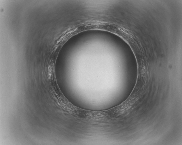 X0000060741397200511141121