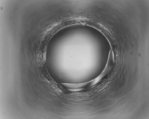 X0000060741398200511141121