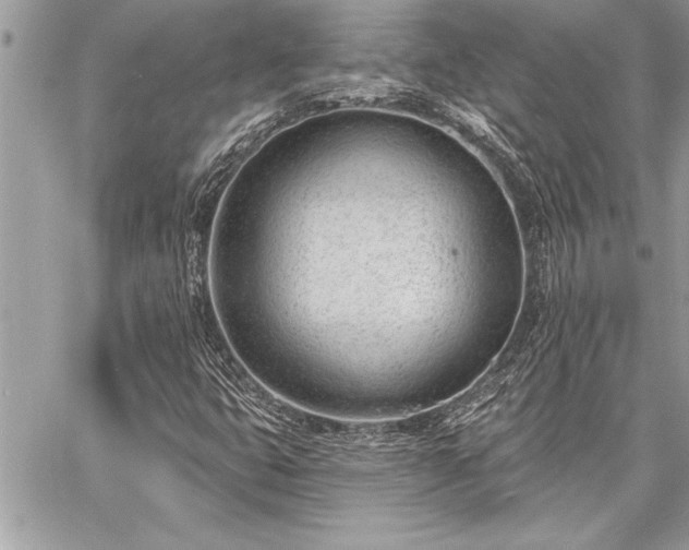 X0000060741399200511141121