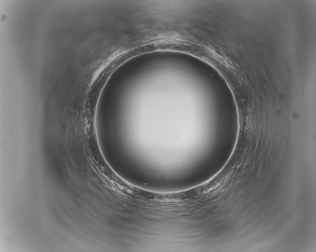 X0000060741400200511141121