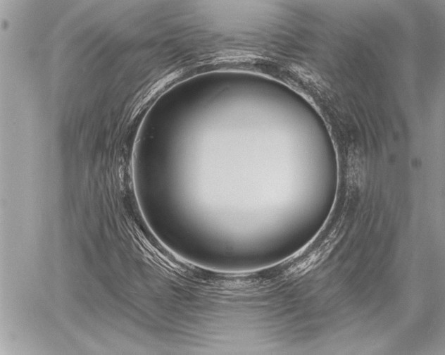 X0000060741401200511141121