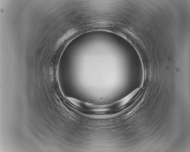 X0000060741402200511141121