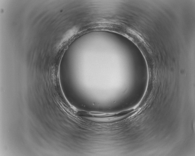 X0000060741403200511141121