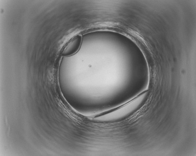 X0000060741404200511141121