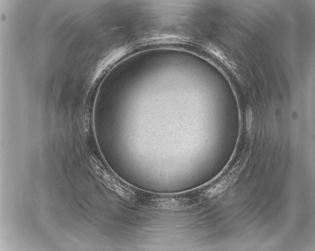 X0000060741405200511141121