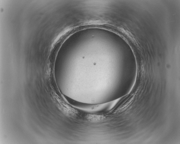 X0000060741406200511141121