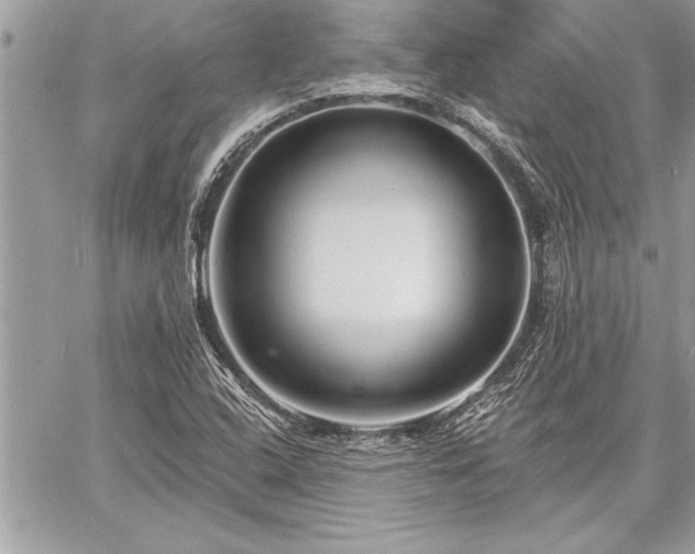 X0000060741408200511141121