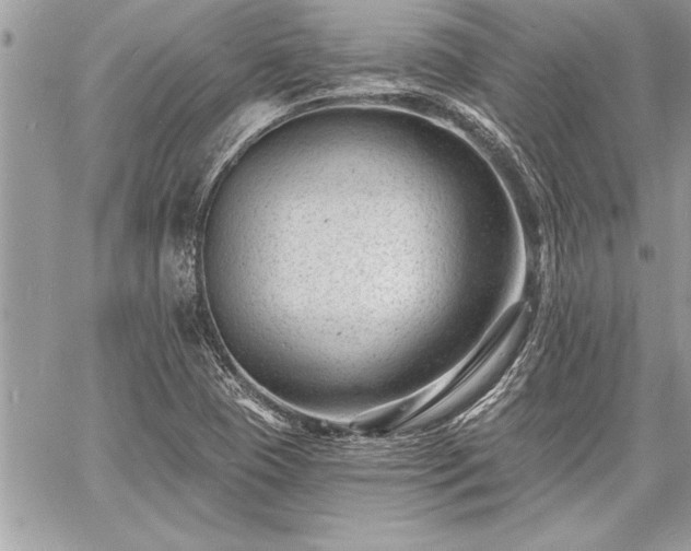 X0000060741409200511141121