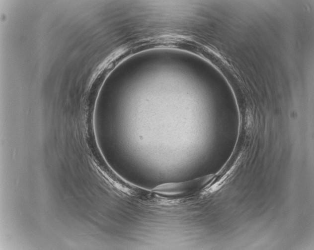 X0000060741410200511141121