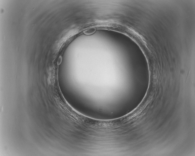 X0000060741411200511141121