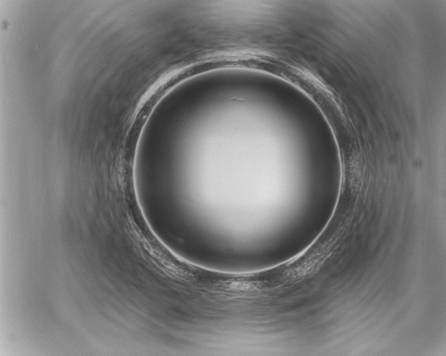 X0000060741412200511141121