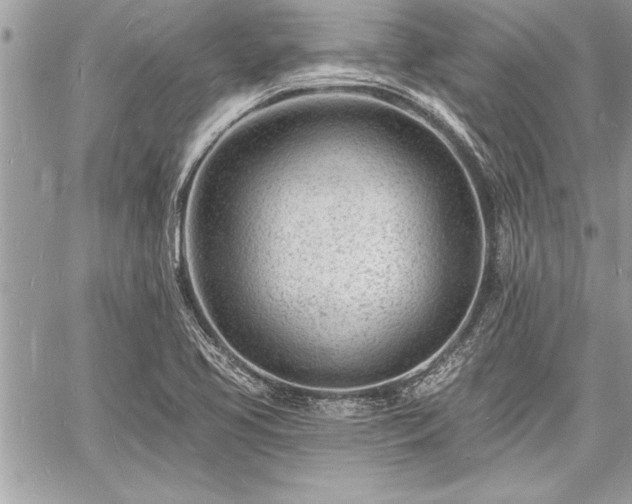 X0000060741413200511141121