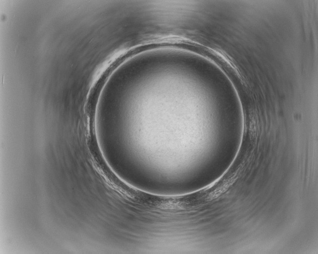 X0000060741414200511141121