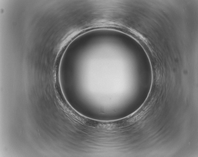 X0000060741415200511141121