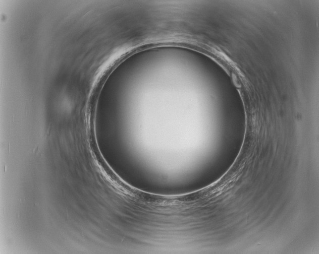 X0000060741416200511141121