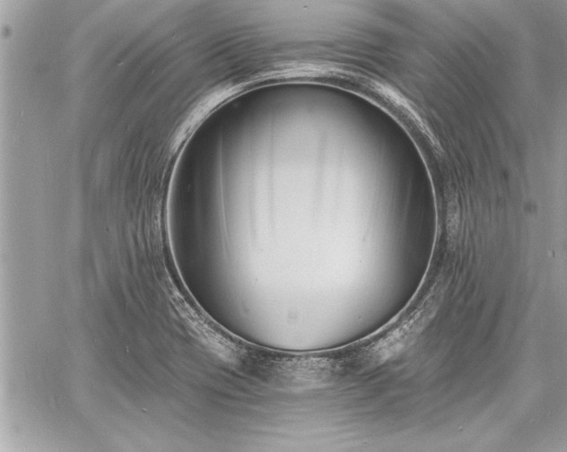 X0000060741417200511141121