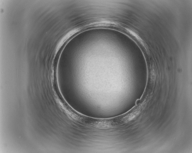 X0000060741418200511141121