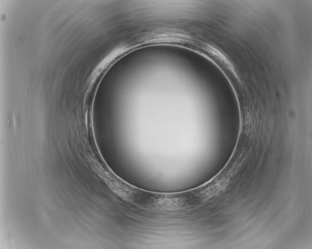 X0000060741419200511141121