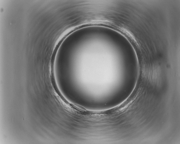 X0000060741420200511141121