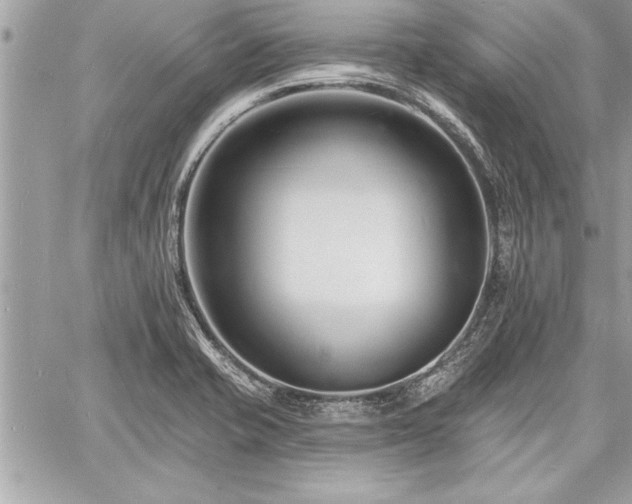 X0000060741421200511141121