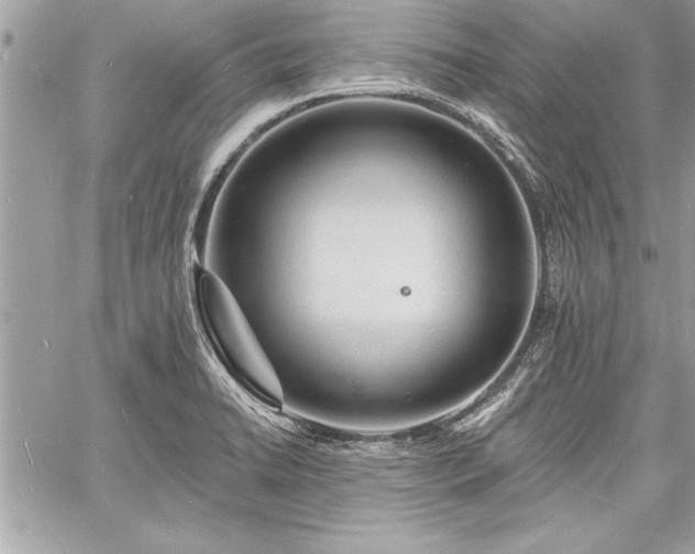 X0000060741422200511141121