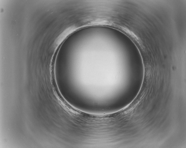 X0000060741423200511141121