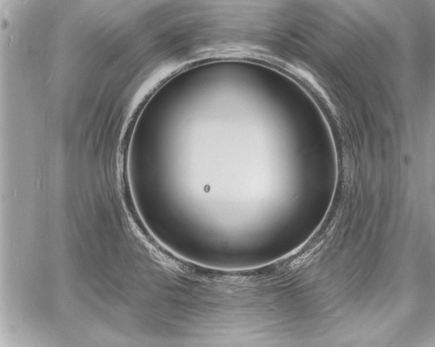 X0000060741424200511141121