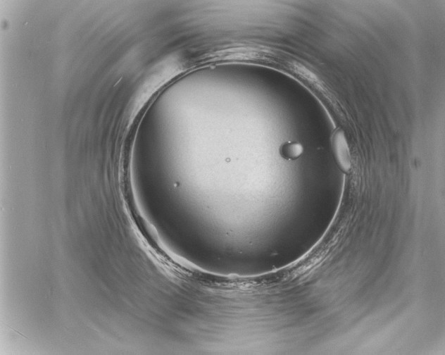 X0000060741426200511141121