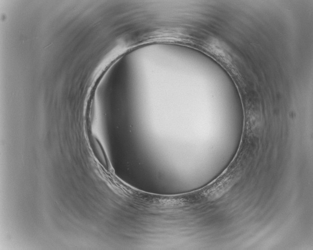 X0000060741427200511141121