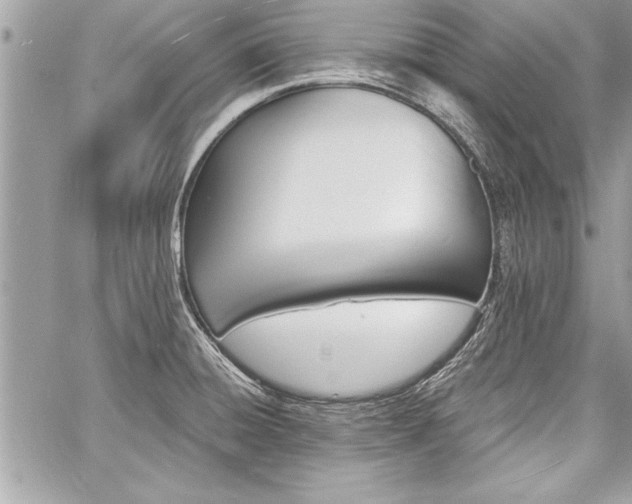 X0000060741428200511141121