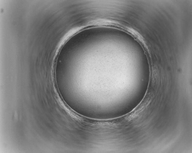 X0000060741429200511141121