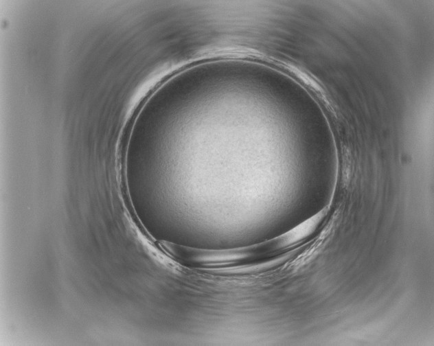 X0000060741430200511141121