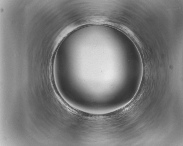 X0000060741432200511141121