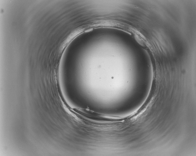 X0000060741433200511141121