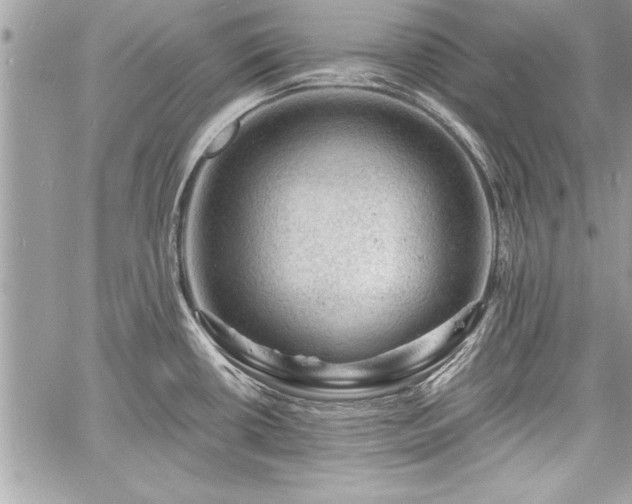 X0000060741434200511141121