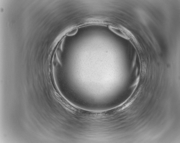 X0000060741435200511141121