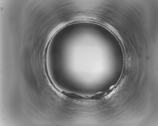 X0000060741437200511141121