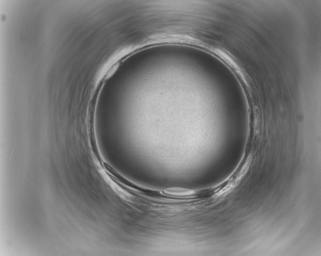 X0000060741438200511141121