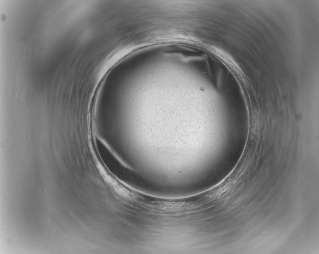 X0000060741439200511141121