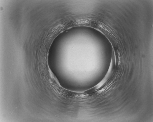 X0000060741441200511141121