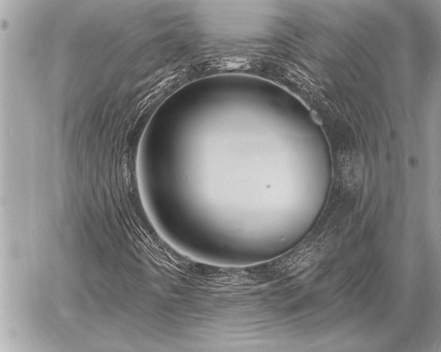 X0000060741442200511141121