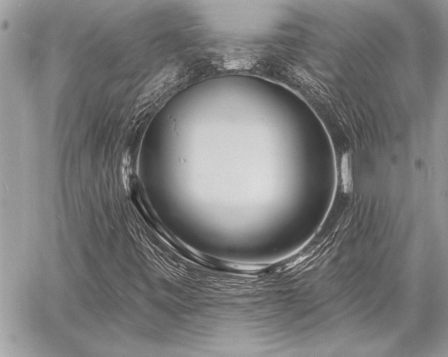 X0000060741443200511141121