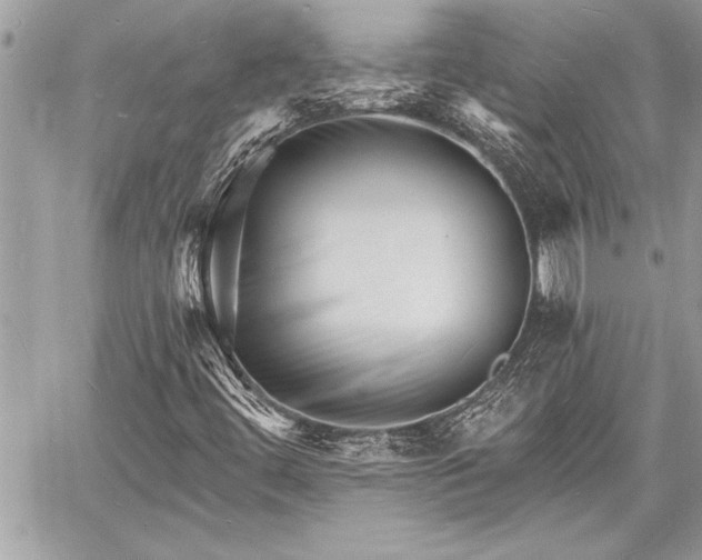 X0000060741444200511141121